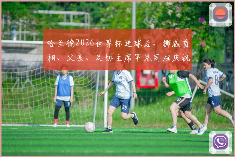 哈兰德2026世界杯进球后，挪威首相、父亲、足协主席罕见同框庆祝，现场气氛与视频解析